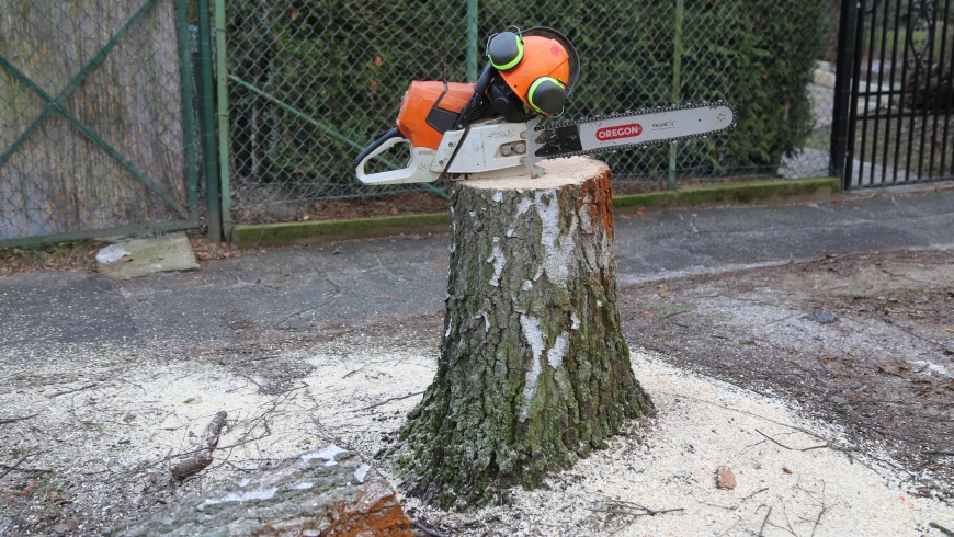 "Motorsäge-Pause"