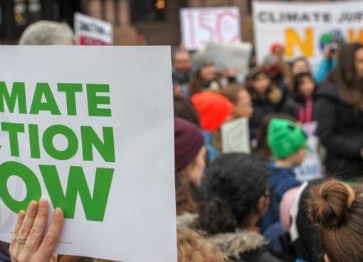 Fridays for Future at »Schoolyard«