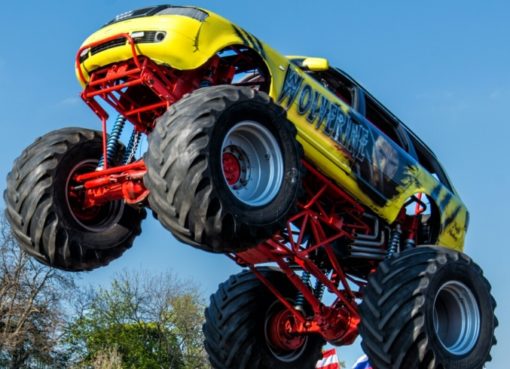 Monster-Truck "Wolverine"