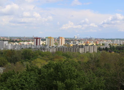 Blick vom Hahneberg auf die Louise Schroeder Siedlung