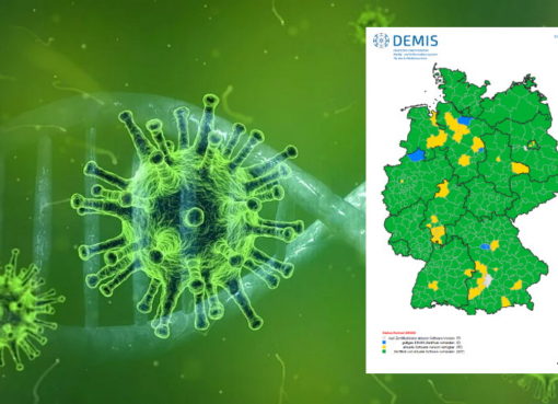 DEMIS Melde- und Informationssystem