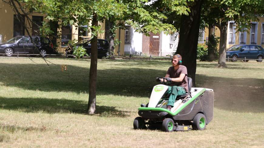 Trockenmähen im Juli