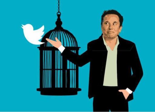 Elon Musk übernimmt Twitter