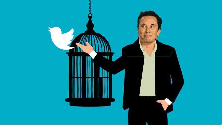 Elon Musk übernimmt Twitter