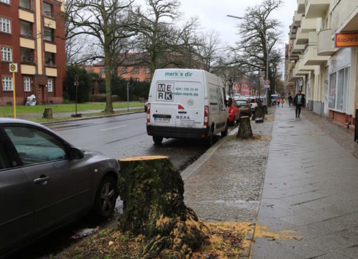 Pichelsdorfer Straße: Bäume gefällt