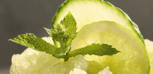 Minze-Gurke-Drink Granita