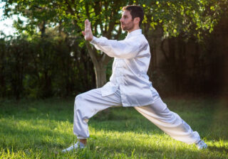 Tai Chi Meister