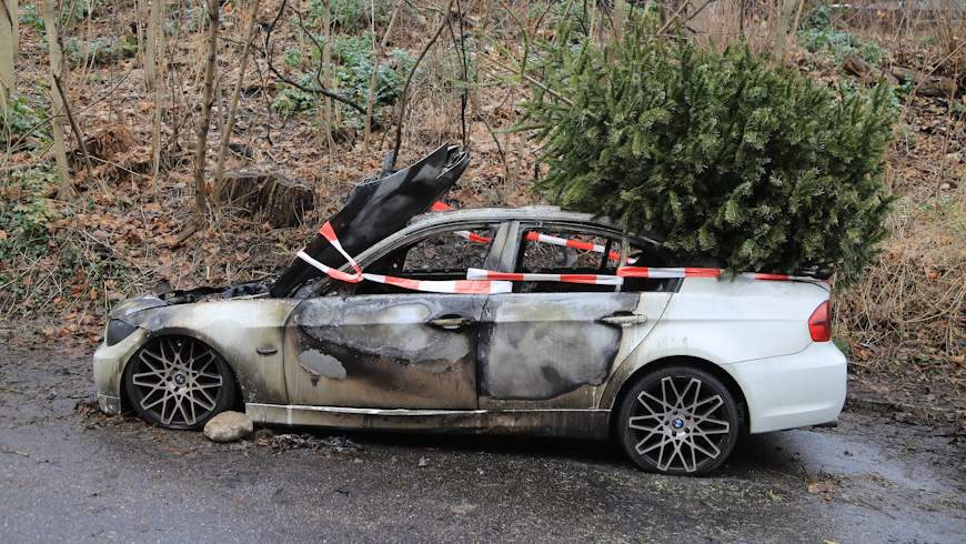 Weihnachtsbaumentsorgung in Berlin