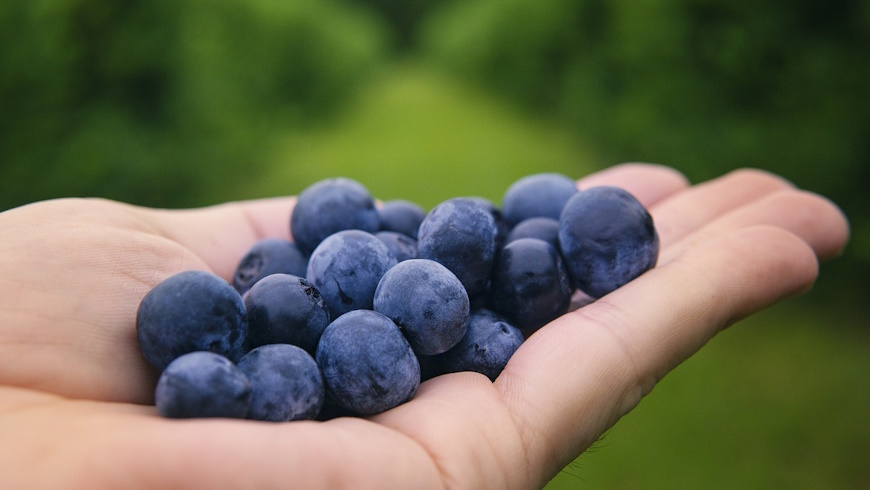 Blaubeeren
