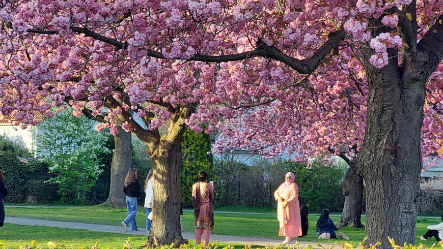 Foto-Shooting zum „Rosa-Pink-Magenta Fashion-Day©“ im Lilienthalpark in Lichterfelde - Foto: © Amina Mendez